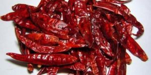 Dried Red Chili