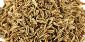 Cumin Seeds