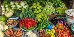 Fresh Vegetables