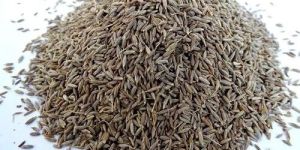 Cumin Seeds