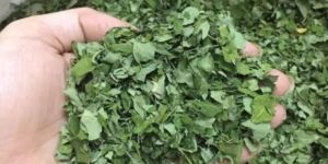 Moringa Dried Leaves
