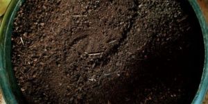 Organic Fertilizers and Manure