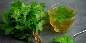 Spearmint Oil