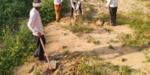 Indian Best Skilled Manpower Service