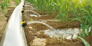 Furrow Irrigation System