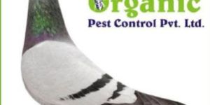 Bird Control Services