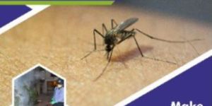 Mosquito Control Services