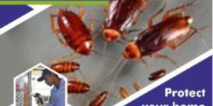 Pest Control Service