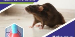 Rodent Control