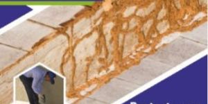 Termite Control Services