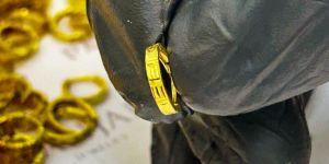 Discover Lightweight Sania Cutting Earrings