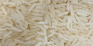 SUGANDHA CREAMY SELLA RICE