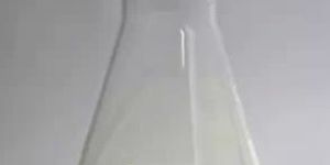 BIT -Benzisothiazolinone