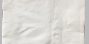 White Non Woven Shoe Bag