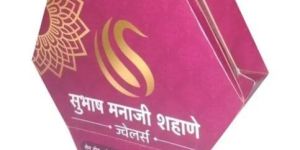 Innovative Shape Paper Bag