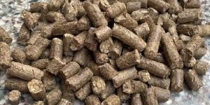 6mm Biomass Wood Pellet