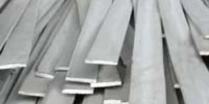 Stainless Steel Strips
