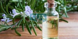 Natural Rosemary Essential Oil