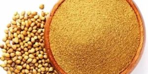 Dried Coriander Powder