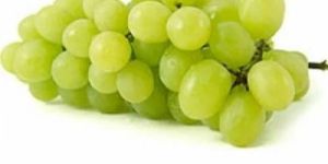 Fresh Grapes
