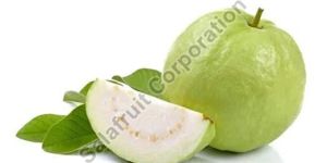 Fresh Guava