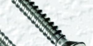 Self Tapping Screw