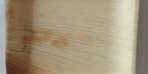 6 Inch Square Areca Leaf Plate