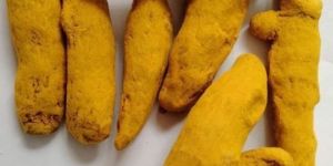 Yellow Turmeric Finger