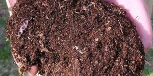 Natural Vermicompost Fertilizer