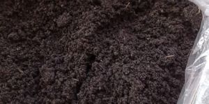 Powder Vermicompost Fertilizer