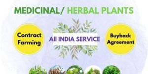 Medicinal Plant Cultivation