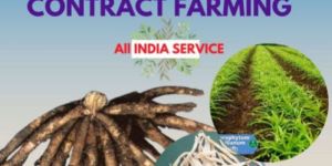 Medicinal Plant Cultivation Services