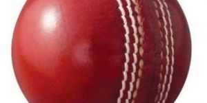 Red Leather Cricket Balls
