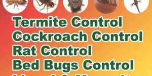 Termite Control Service for House 5 Years Warranty
