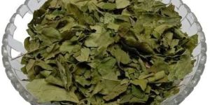 Freeze Dried Sweet Neem