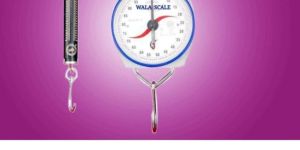 Mechanical Hanging Weighing Scale