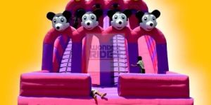 Pink Inflatable Slider Bouncy