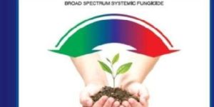 Rokona Thiophanate Methyl 70% WP Broad Spectrum Systemic Fungicide