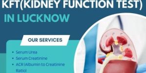 Kidney Function Test