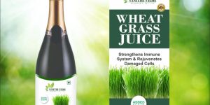 Wheat Grass Juice