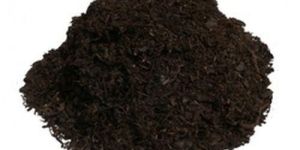 Vermicompost Fertilizer