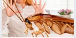 Cockroach Repellent Spray