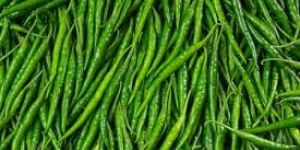 Green Chilli