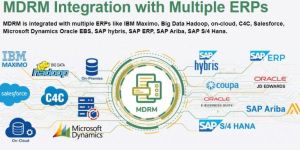 Master Data Management Solutions -- PiLog Group
