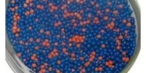 Rabeprazole Sodium EC Pellet