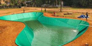 Pond Construction Services