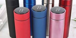 Stainless Steel Temperature Water Bottle, Capacity: 500 mL