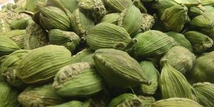 500 Gm 8 Mm Rejected Green Cardamom