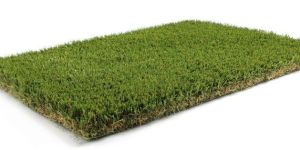 Artificial Grass
