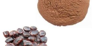 Tamarind Seed Powder